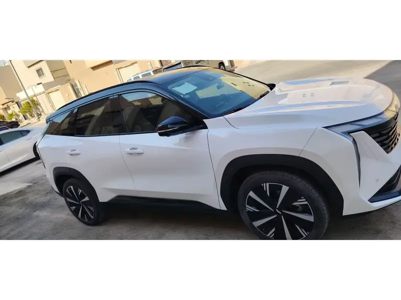 Geely STARRAY 2024 13