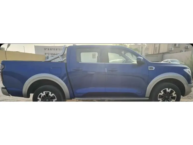 Great Wall POER Individual 2021 4