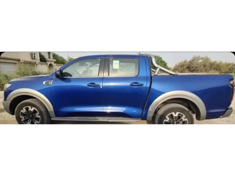 Great Wall POER Individual 2021 3