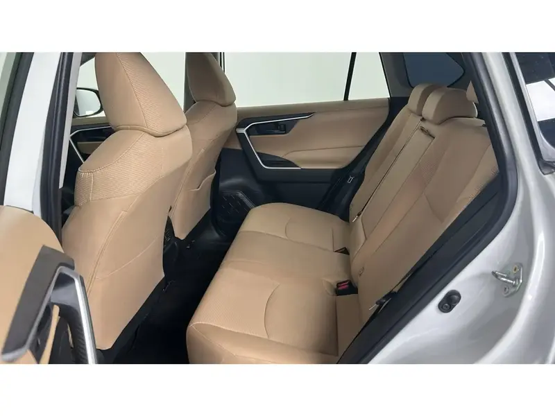 Toyota RAV4 LE 2024 15