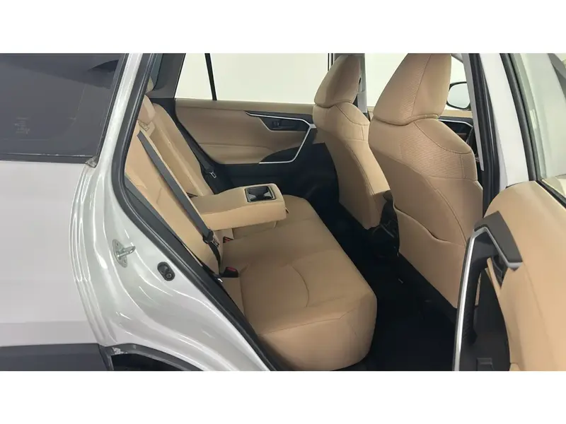 Toyota RAV4 LE 2024 21