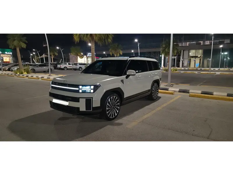 Hyundai SantaFe 2024 2