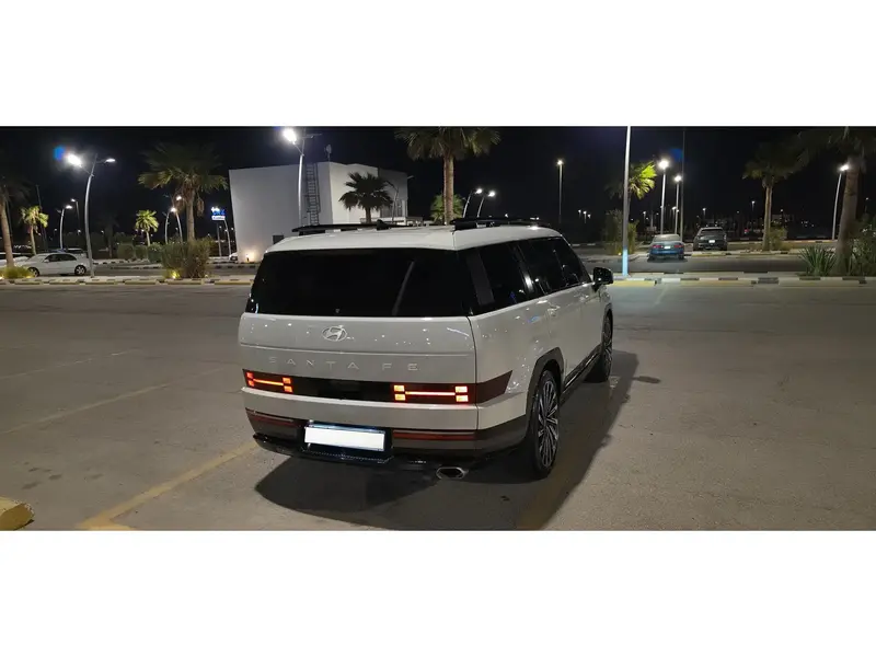 Hyundai SantaFe 2024 6