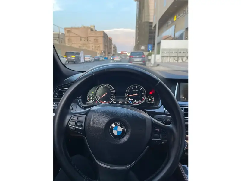 BMW 5 Series 2016 8