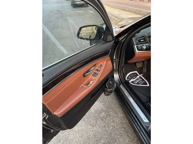 BMW 5 Series 2016 14