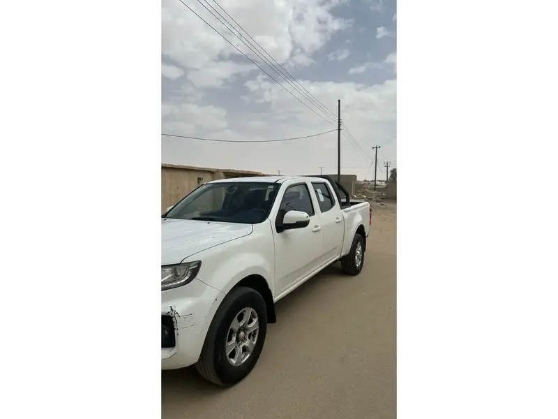 Haval Other 2020 2