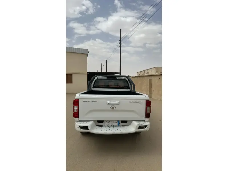 Haval Other 2020 3