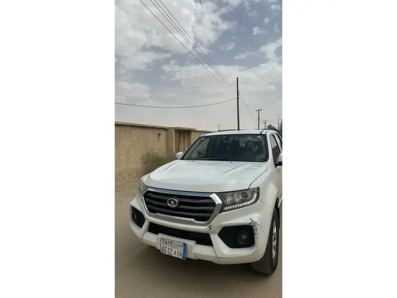 Haval Other 2020 1