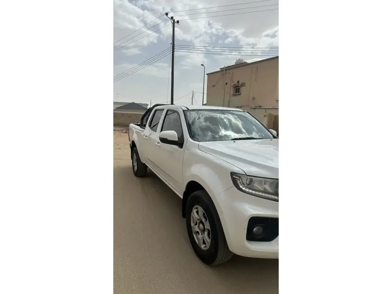 Haval Other 2020 5