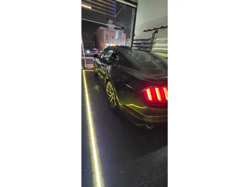 فورد موستنج GT 2015 فئة بريميوم 3