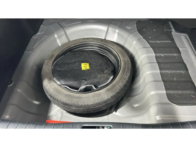 KIA Pegas Standard 2024 19