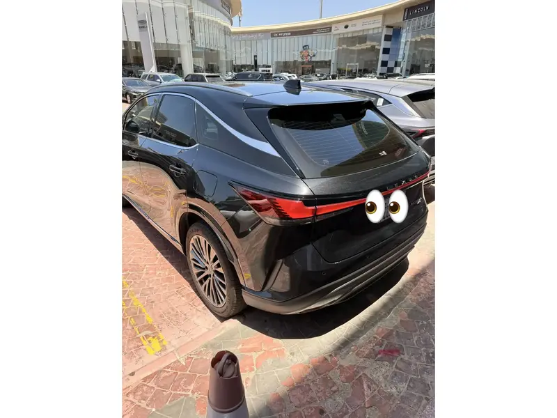 Lexus RX 2023 2
