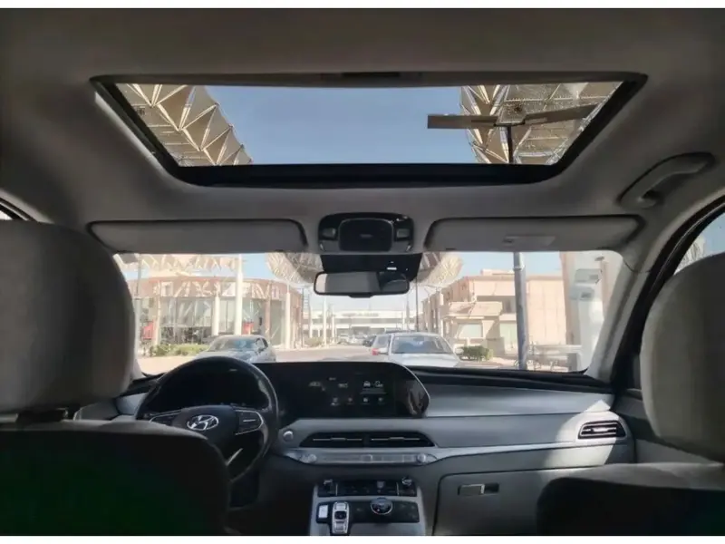Hyundai Palisade 2020 11