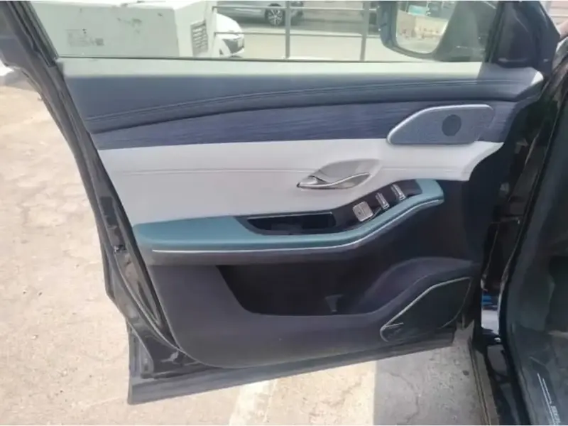 سوإيست S09 2026 4W 2.0T 31