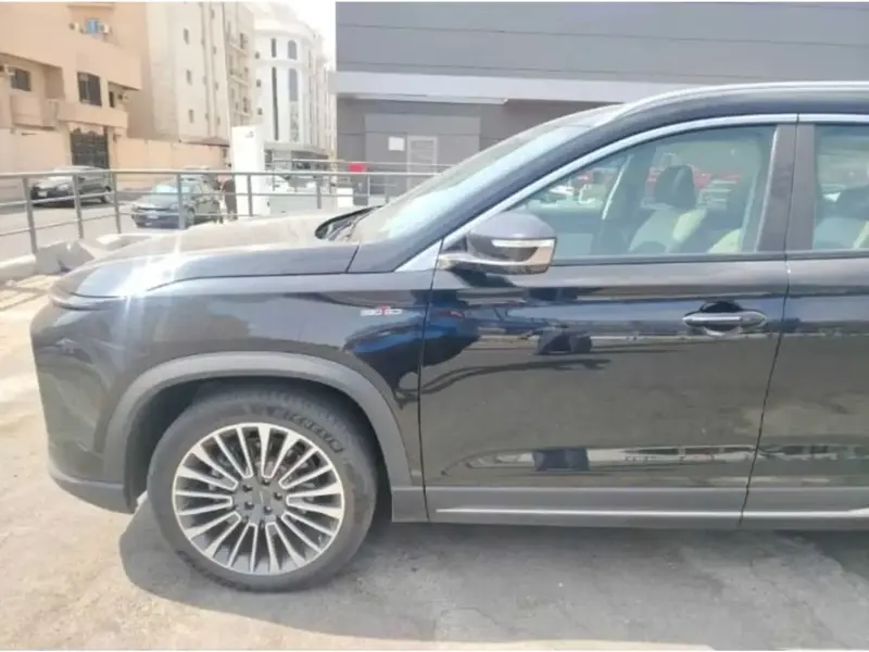 سوإيست S09 2026 4W 2.0T 33