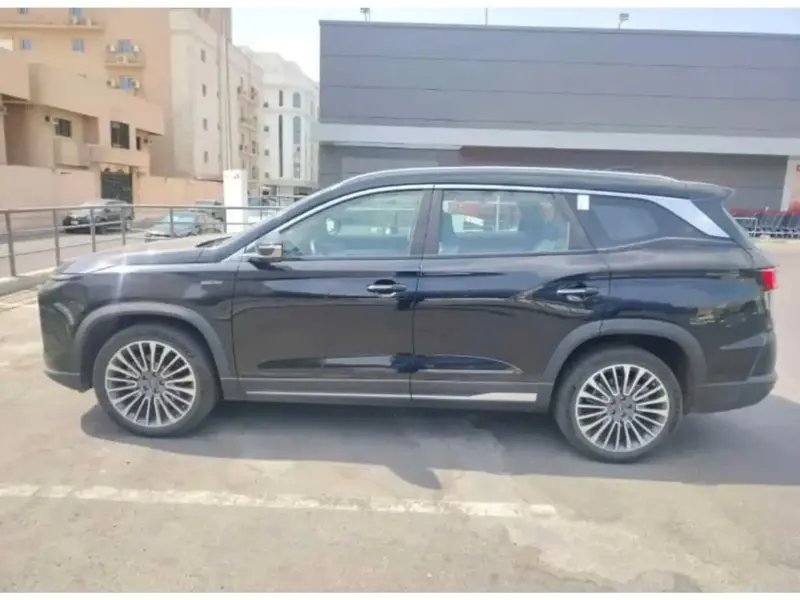 سوإيست S09 2026 4W 2.0T 34