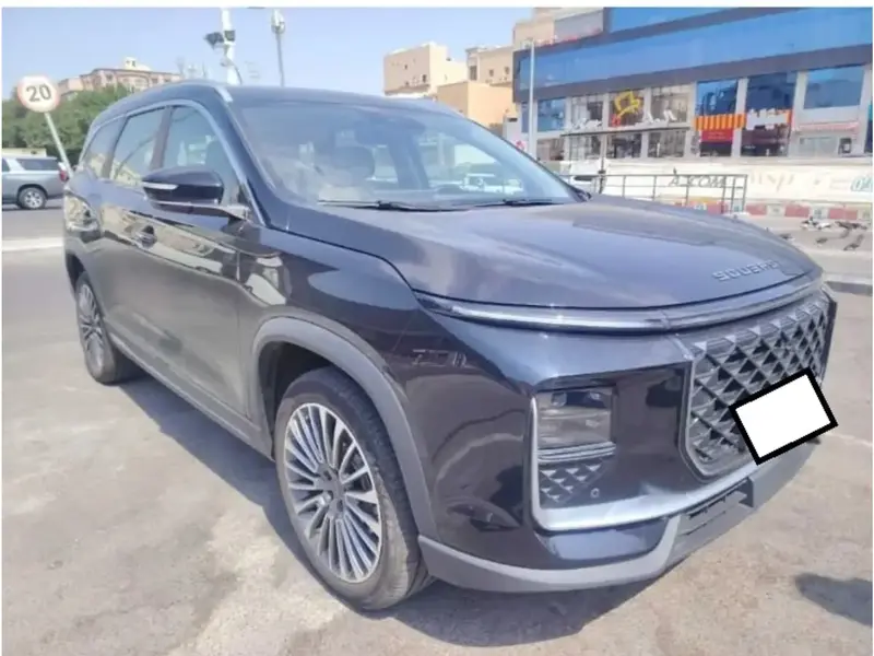 سوإيست S09 2026 4W 2.0T 4