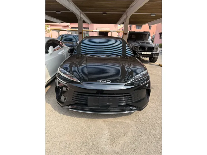 BYD S7 2025 9