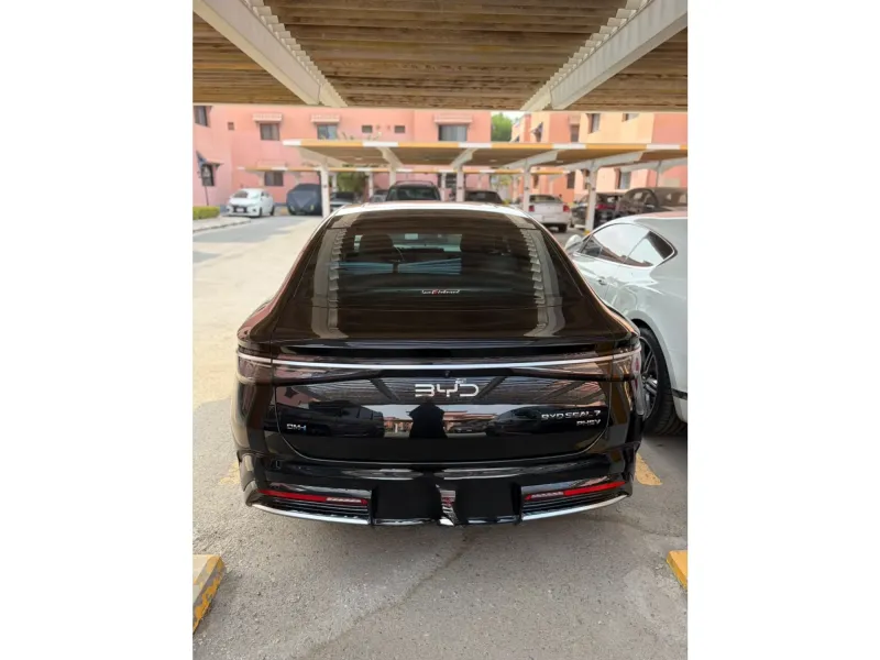 BYD S7 2025 10