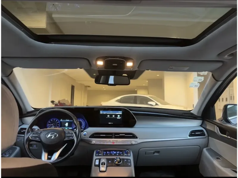 Hyundai Palisade 2020 15