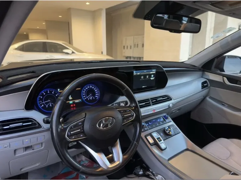 Hyundai Palisade 2020 12
