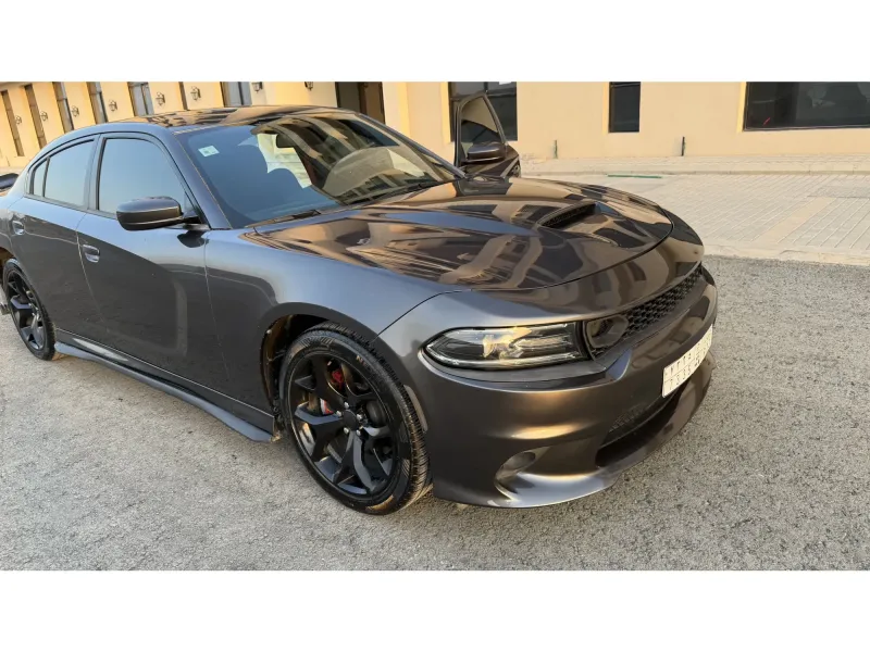 Dodge Charger 2019 14