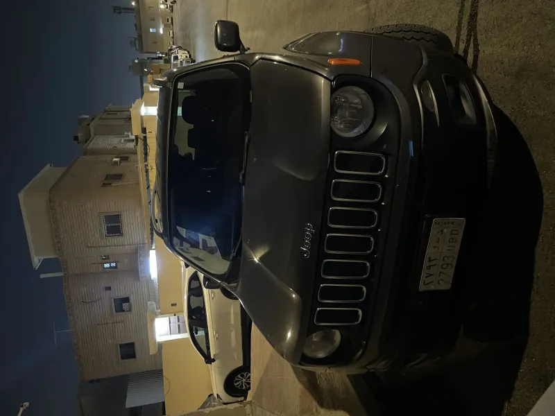 Jeep Renegade 2016 5