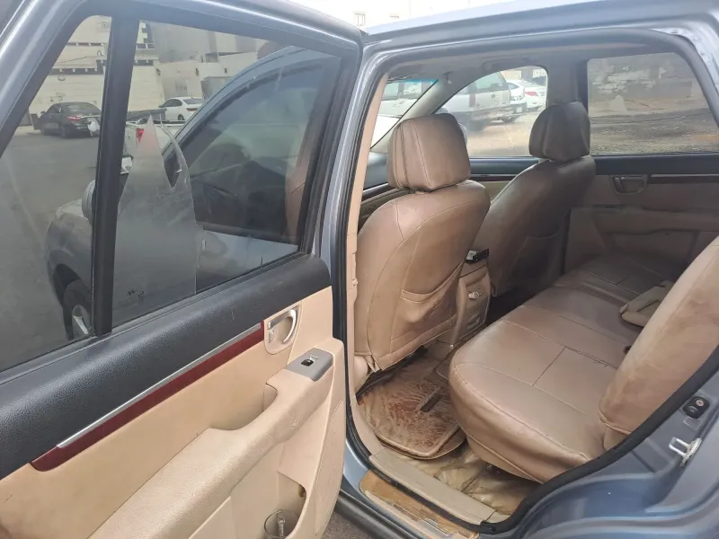 Hyundai SantaFe 2009 10