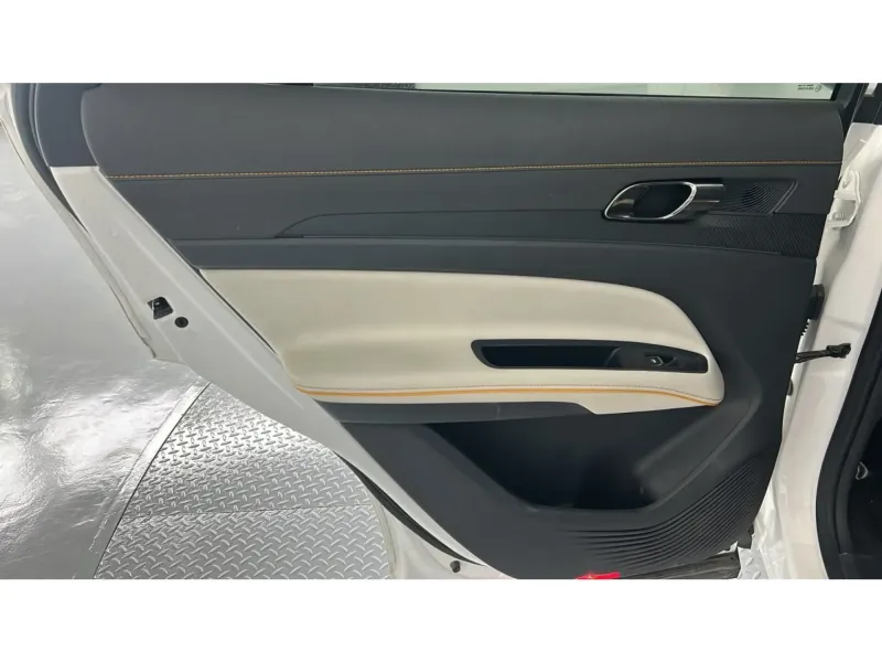 Ford TERRITORY Titanium Plus 2024 21
