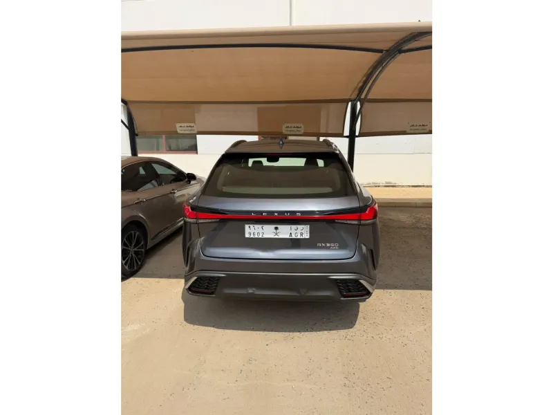Lexus RX 2024 6