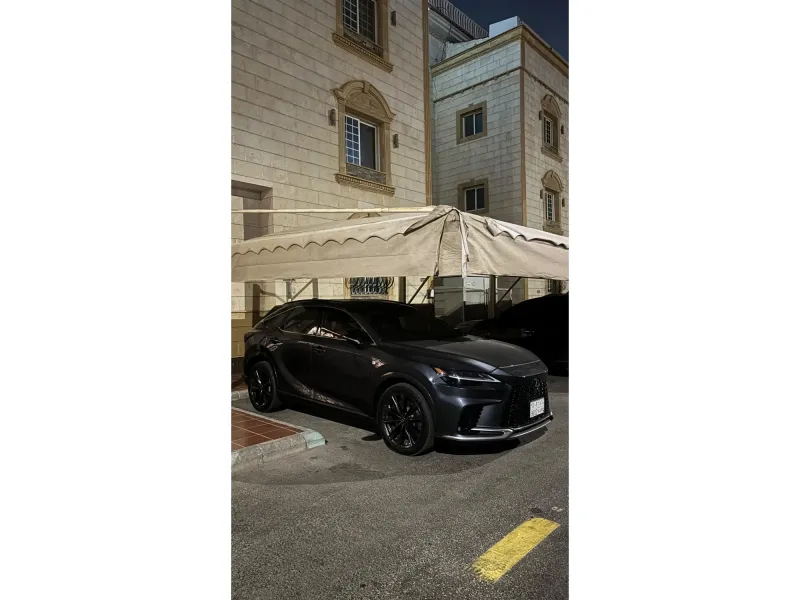 Lexus RX 2024 2