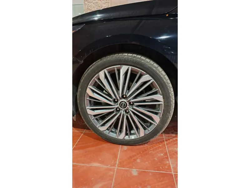 نيسان التيما 2026 SV+ 19