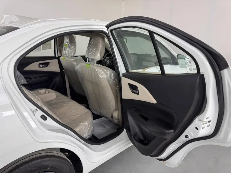 Suzuki Dzire GL 2027 24