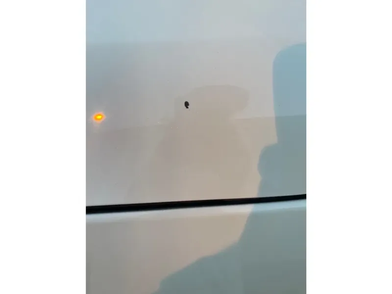 سوزوكي سياز 2024 12