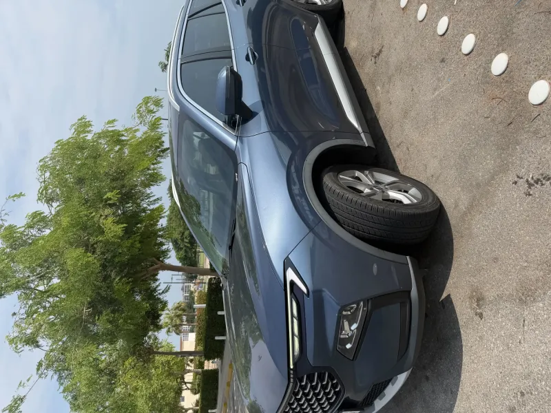 Ford TERRITORY 2024 1