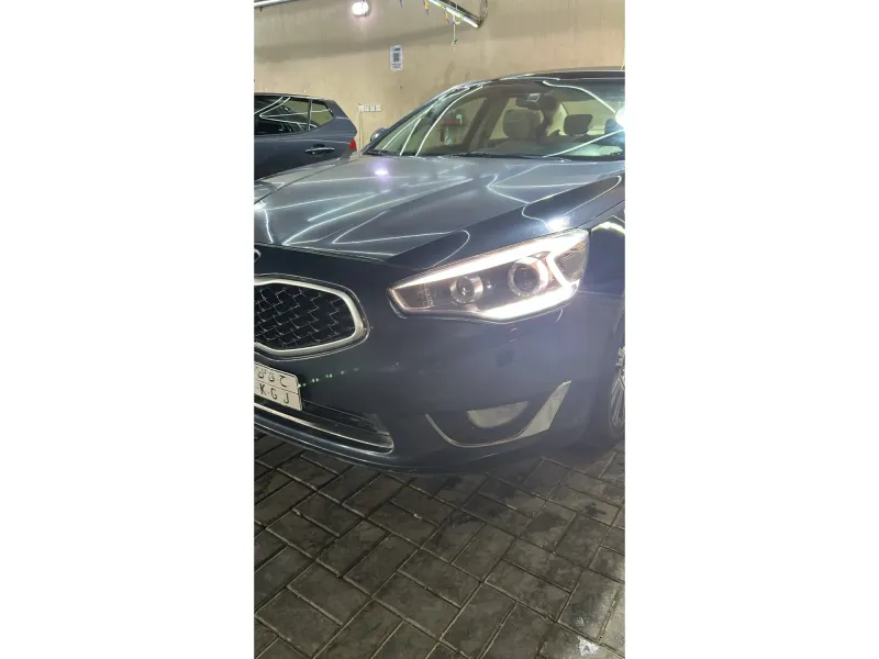 KIA Cadenza 2015 18