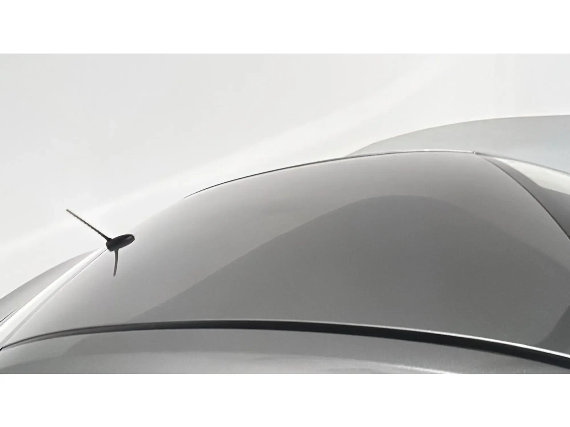 KIA Pegas Standard 2024