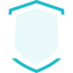 Secure Payment