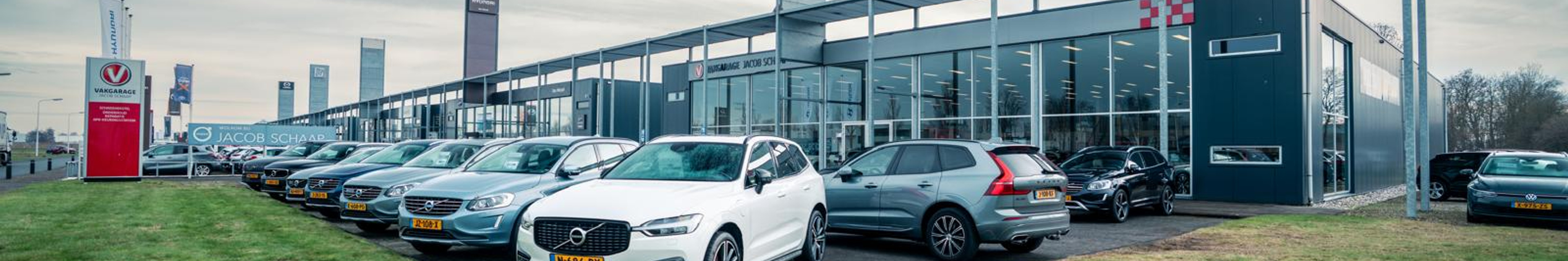 Achtergrond afbeelding