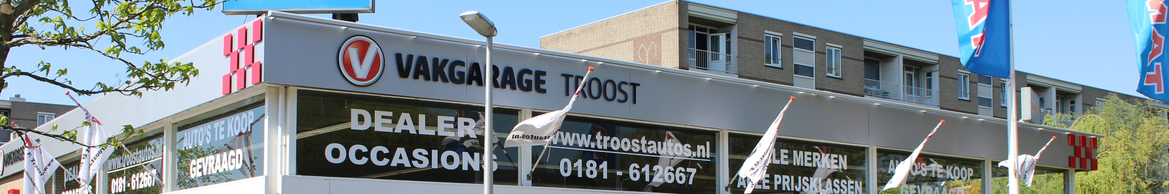 Achtergrond afbeelding