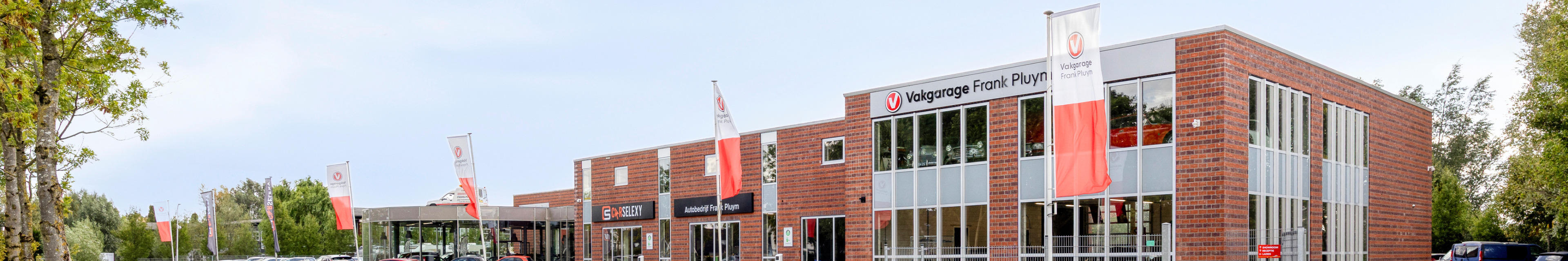 Achtergrond afbeelding