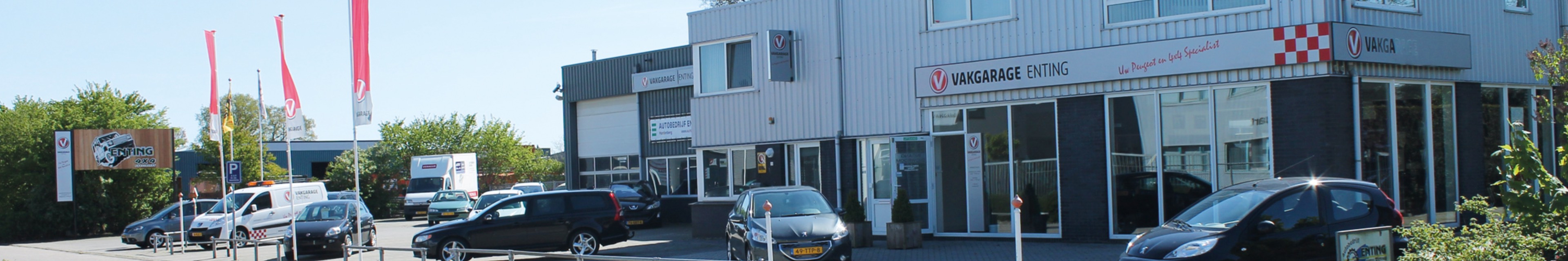 Achtergrond afbeelding