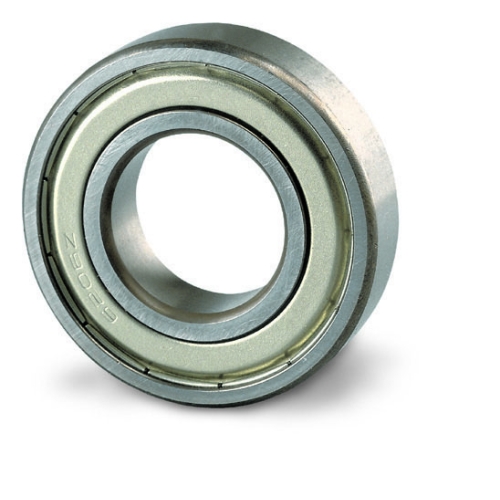 Pedrollo Lager 6202 ZZ