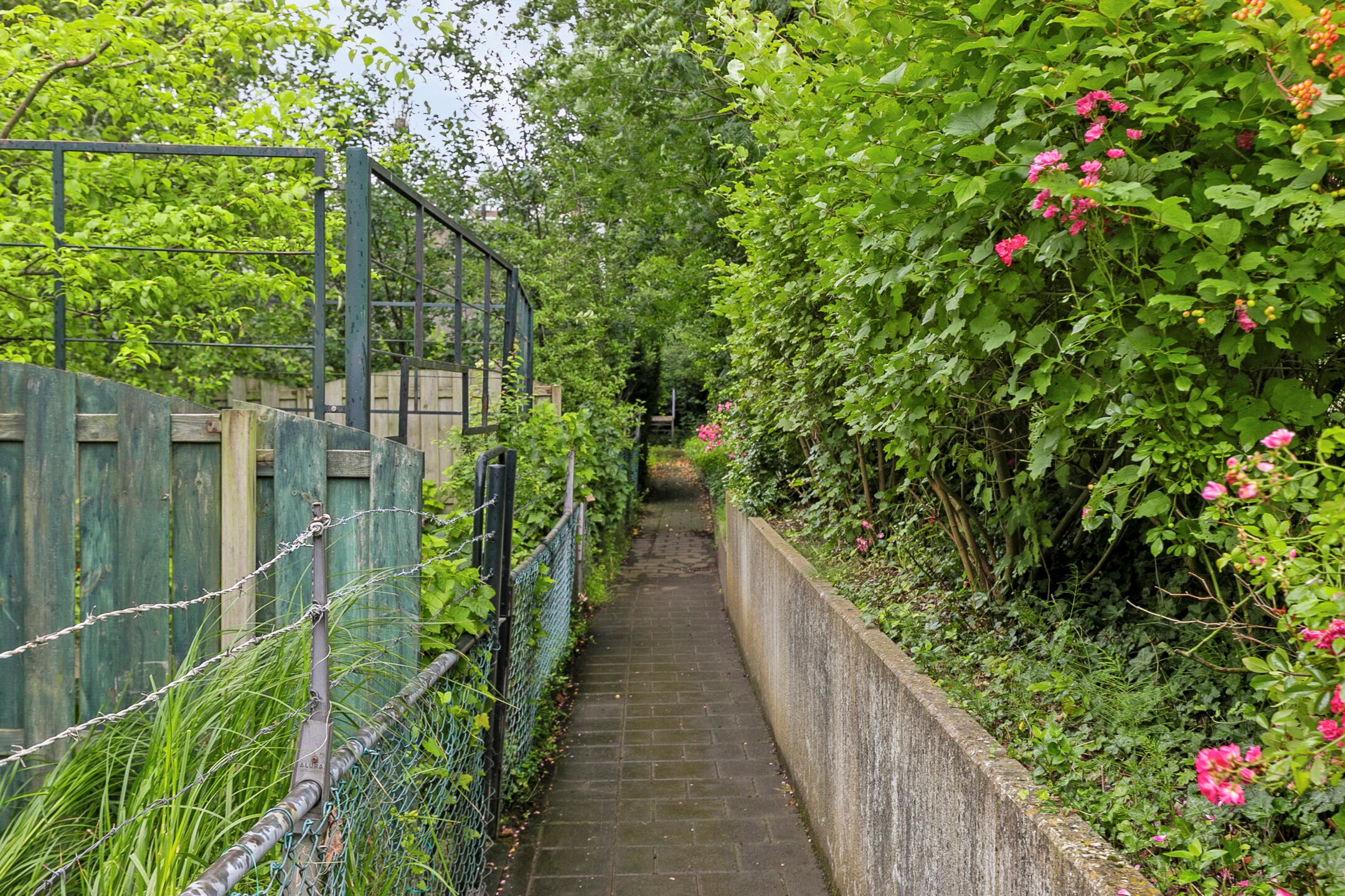 Proveniersstraat 64