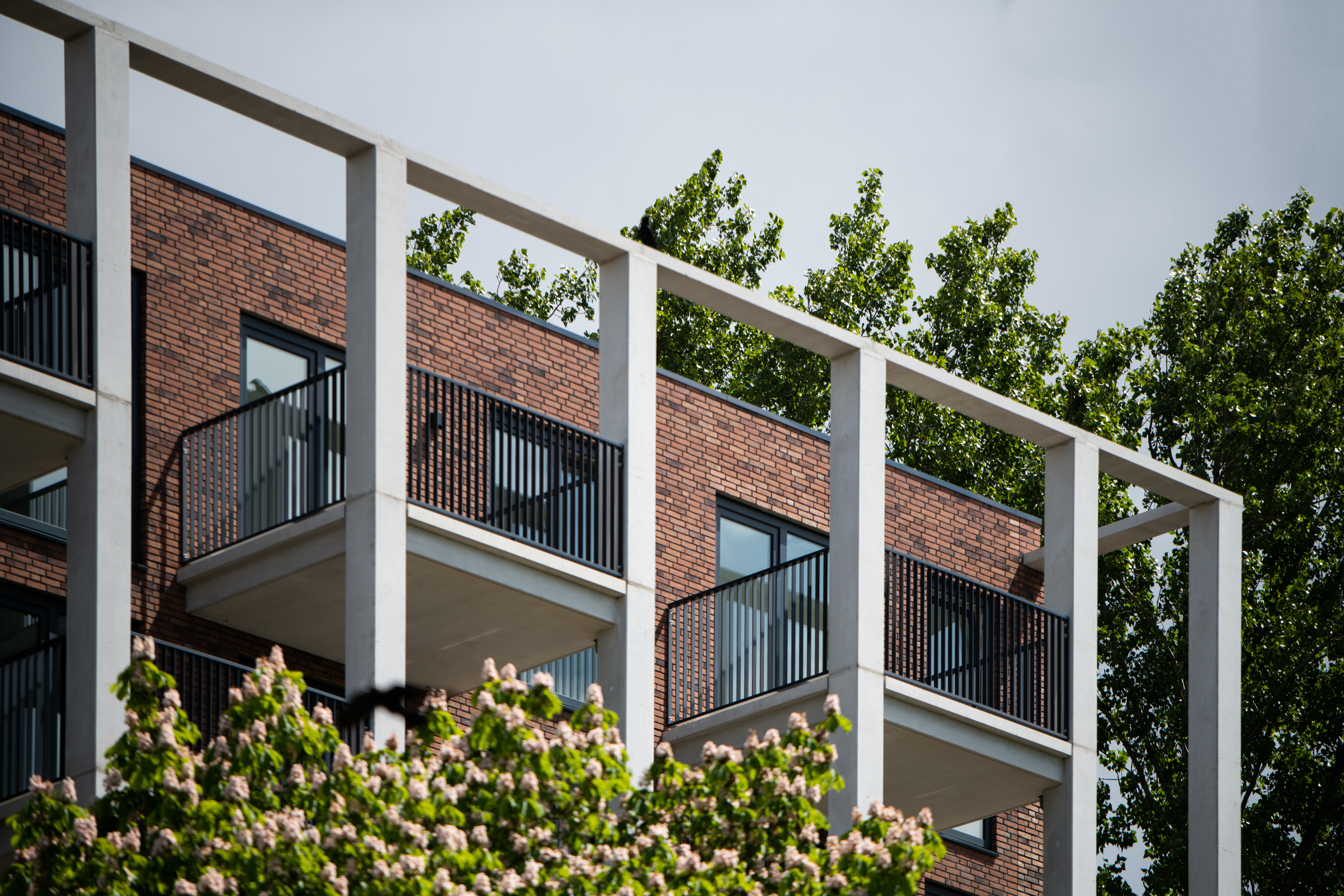 Wilgenplaslaan 198