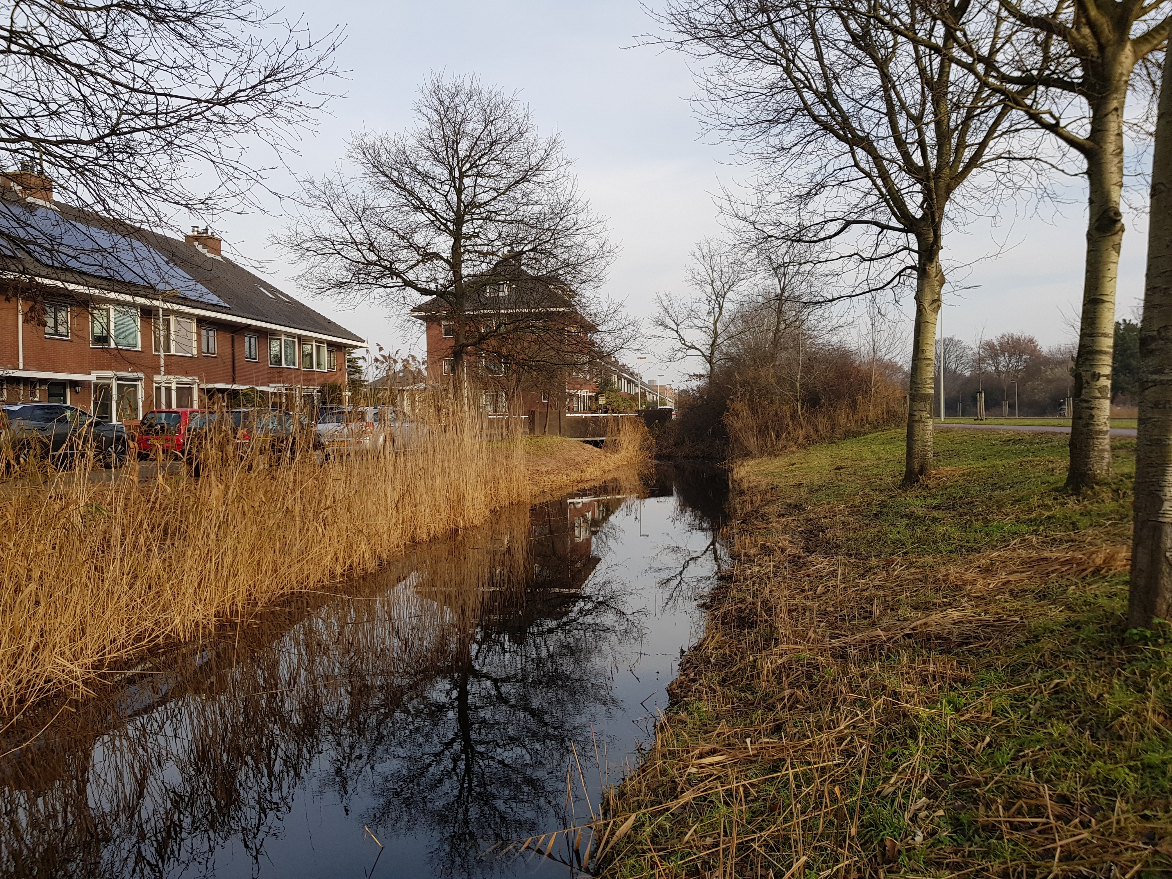 Zandzeggelaan 199