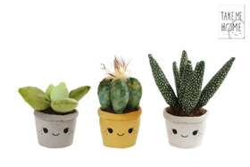 Pflanzen Pluesch 19-27cm 3-fach sor