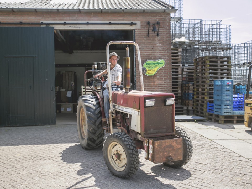 buitenboom_vdh1289.jpg