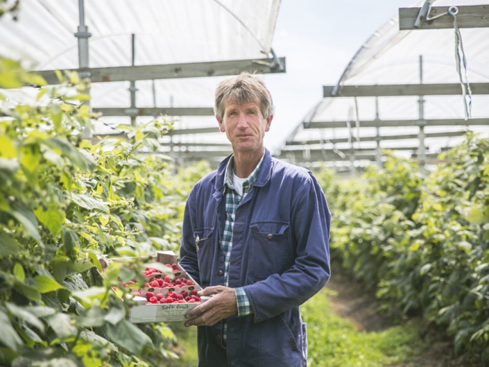 buitenboom_vdh1309.jpg