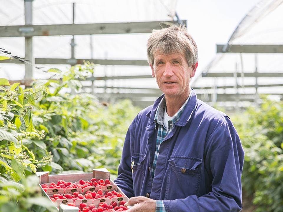 buitenboom_vdh1314.jpg